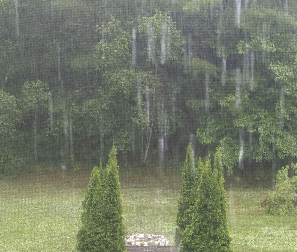 Heavy downpours but little damage from weekend storms locally